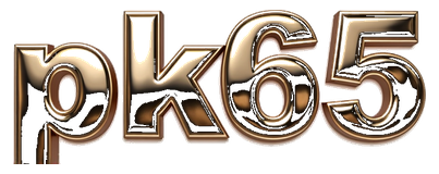 pk65 logo